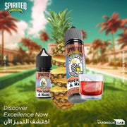 VAPOHOLIC SPIRITED SALTNIC LIQUID 30ml