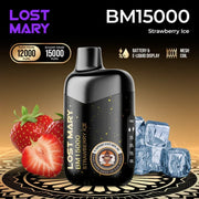 Lost Mary BM15000
